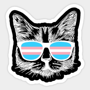 Transgender Pride Flag Cat Transgender Awareness Gift Sticker